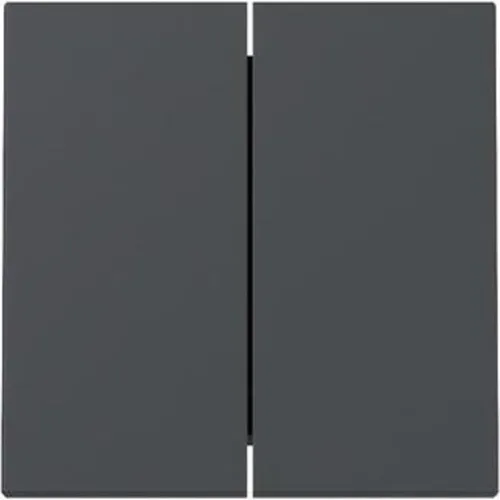 Gira Wippe 2f System 55 Anthrazit 329528 (329528) von Gira