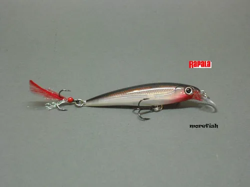Rapala Wobbler X-Rap 6cm XR06 - S - Silver