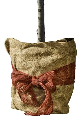 Windhager Jute Winterschutz Vliesmatte ÖKO, Thermovlies, Kälteschutz Pflanztopf, Frostschutz für Pflanzen, 300 g/m², 0,5 x 4 m, 07521