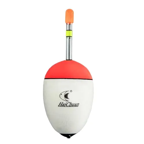 Größen zur Auswahl, 10 bis 100 g EVA, leuchtende Angelpose zum Meeresangeln, Karpfenzubehör (70 g) 10