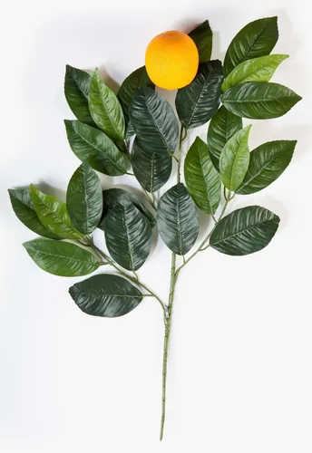 artplants Deko Orangen Blatt Zweig, 24 Blätter, 1 Orange, grün, 60cm