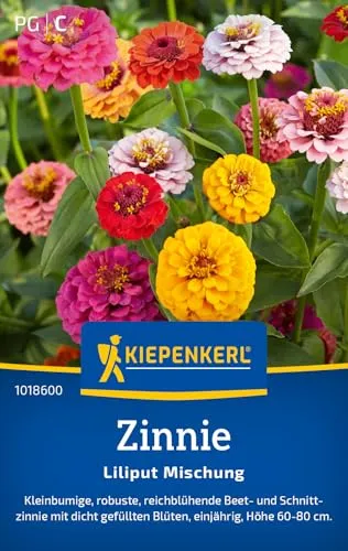 Kiepenkerl Zinniensamen Liliput Mischung 1018600 - Einjährige Blumensamen mit einer Wuchshöhe von 60 bis 80 cm und Inhalt für 50 Pflanzen - Saatgut