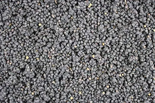 1000Kräuter Holunderbeeren Holunder Beeren getrocknet Tee ganz (100g)