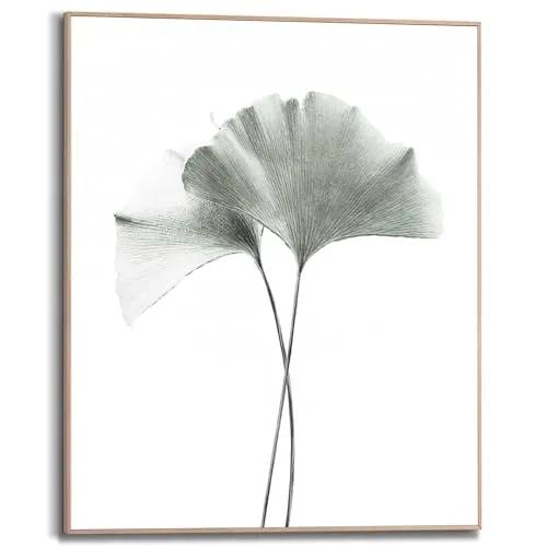 REINDERS Gerahmtes Bild, Ginkgo Blatt, Wohnzimmer, Bilder, Wanddeko, Room Decor, MDF, Grün, 50x40cm
