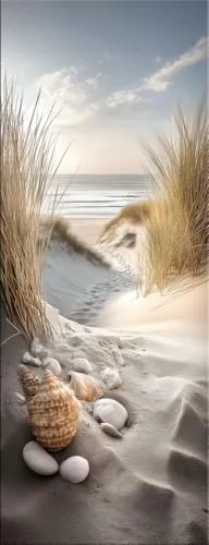 artissimo, Glasbild, 30x80cm, AG5724A, Strand und Meer: Dünenweg zum Meer, Bild aus Glas hochkant schmal, moderne Wanddeko Naturmotiv, Wandbild Wohnzimmer hell, maritim, mediterran, minimalistisch