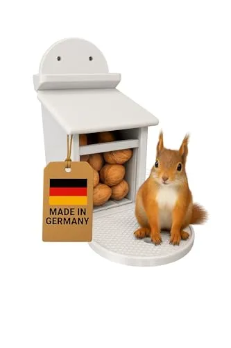 Futterstation für Eichhörnchen – Grau, Wetterfest & Robust mit Kunststoffscheibe, Belüftetem Vorratsfach & Rutschfestem Sitz – Für Garten oder Balkon