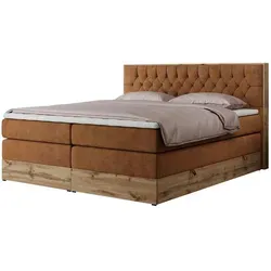 MKS MEBLE King Boxspringbett 200x200 mit Bettkasten