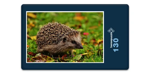 hansepuzzle 16859 - Igel im Laub Puzzle, 130 Teile, Tierwelt, 28,7 x 20,0cm mit hochwertiger Aufbewahrung, Kartonbox und wiederverschließbarem Beutel