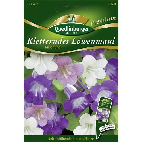 Quedlinburger Saatgut Kletterndes Löwenmaul Samen