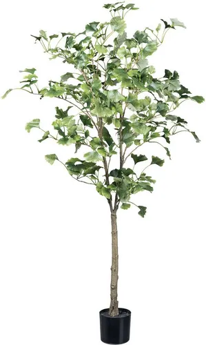 Kunstpflanze Gingkobaum Gingkobaum, Creativ green, Höhe 120 cm, mit detailgetreuem Blattwerk