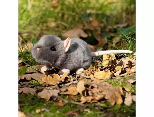 Szczurek One for Fun 5038728150757