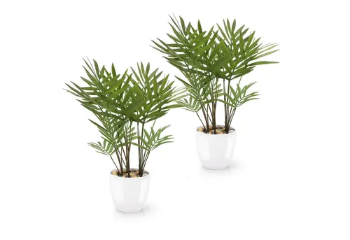 Kunstpflanze Tropische Kunstpflanzen wie echt in weißen Keramiktöpfen, Kunstpflanze Tropische Kunstpflanzen (u.a. Monstera & Areca Palmen), PASCH, Höhe 25 cm