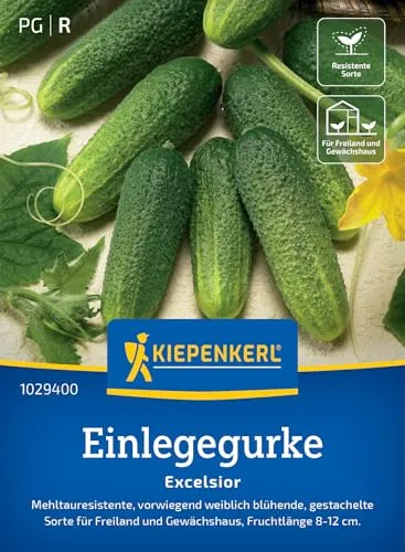 Produktbild Kiepenkerl Einlegegurkensamen Excelsior 1029400 – Gurkensamen, gestachelte Früchte, Cornichons, eingelegte Gurken, Gemüsesamen für Freiland & Gewächshaus