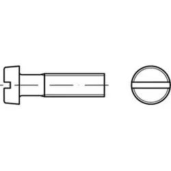Zylinderschraube mit Schlitz ISO 1207 M4 x 10mm - Eisenwaren, robuste Zylinderschraube aus Stahl Güte 4.8, ideal für vielseitige Anwendungen in Bau und Handwerk.