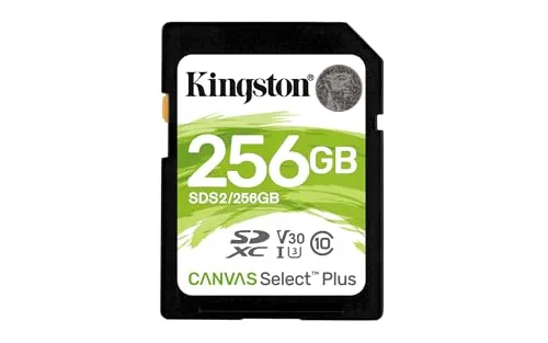 Kingston Technology Canvas Select Plus 256 GB SDXC - Klasse 10 UHS-I, hohe Geschwindigkeit für Fotos und Videos