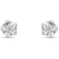 FAVS Ohrstecker 88362985 aus 925er Silber - Elegante FAVS Ohrstecker 88362985 aus hochwertigem 925er Silber. Ideal für jeden Anlass und ein stilvolles Accessoire für Ihr Outfit.