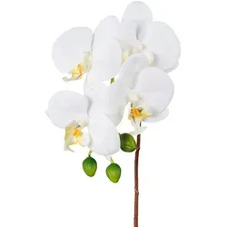 Kunstorchidee Orchidee Phalaenopsis Orchidee, Creativ green, Höhe 44 cm, mit real-touch-Blüten weiß