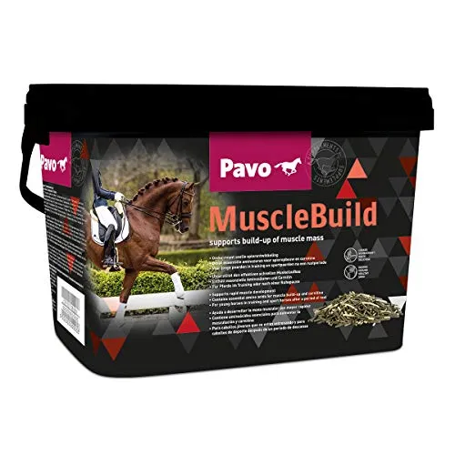Produktbild Pavo MuscleBuild | Für ein starkes und muskulöses Pferd | 3 KG