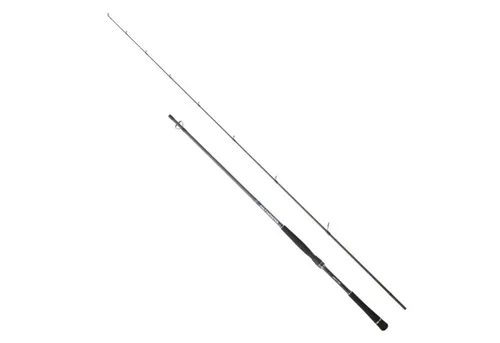 Hearty Rise Salt Monster SW Spin 2,50m 9-35g Spinnrute - Hochwertige Spinnrute für Angler, ideal für Dorsch und Seelachs. Robust und flexibel für optimale Wurf- und Fangleistung.