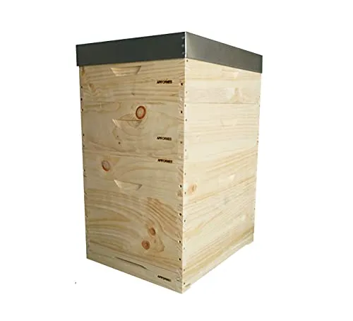 APIFORMES Dadant (DAD10) 10 Beute - Weymouthskiefer