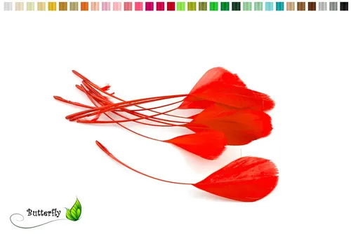 Creativery Bastelfedern, 10 Gänse Coquetips 12-20cm