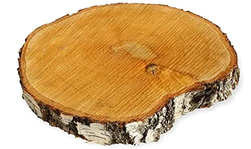 Große Holzscheibe zum Basteln oder Dekorieren - 1 Stück naturbelassene Baumscheibe aus Birkenholz mit 30 - 35 cm Durchmesser - runde Holz Birkenscheibe als Deko Holzplatte Holzdeko