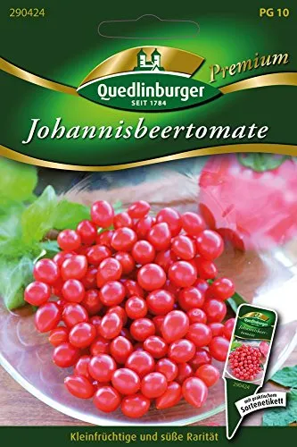 Quedlinburger Johannisbeer-Tomaten Loses Saatgut