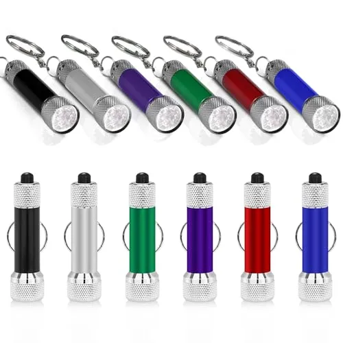 Mizikuu 12 Stück Mini LED Taschenlampe Mit Schlüsselanhänger