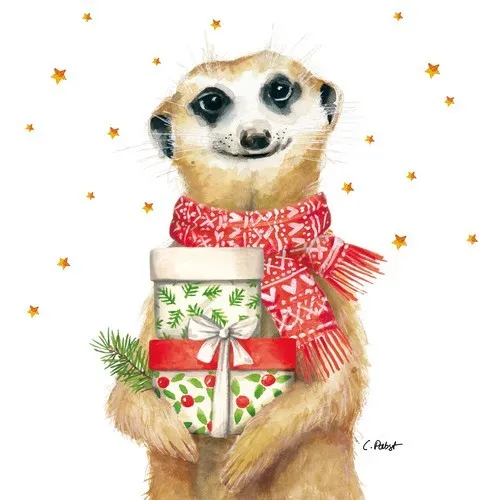 Servietten Joseph Erdmännchen Tiere Weihnachtsgeschenke Schal Sterne 33x33cm 20