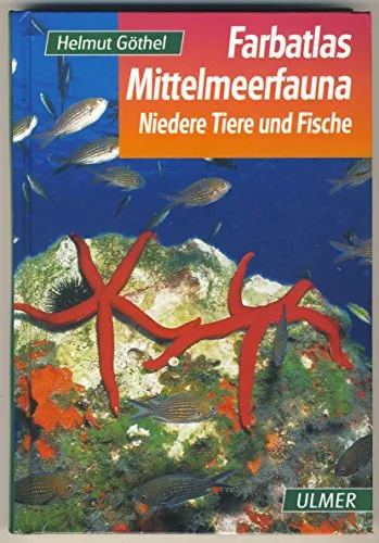 Produktbild Mittelmeerfauna: Niedere Tiere und Fische