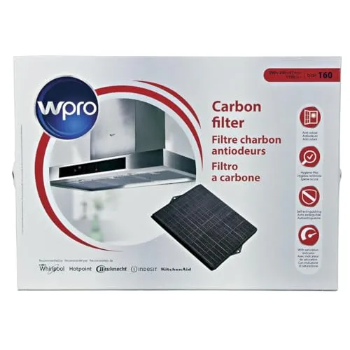 Bauknecht ORIGINAL Kohlefilter 290x230mm von Wpro