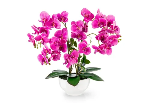 PASCH® XXL Kunstblume Orchidee groß (56cm) in Hochglanz-Keramiktopf - Seiden- & Kunstblumen: Edle Kunstorchidee im pflegeleichten Hochglanz-Keramiktopf, ideal für jeden Raum und sorgt für natürliche Eleganz ohne Pflegeaufwand.