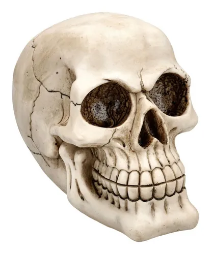 Figuren Shop GmbH Dekofigur Totenkopf Skulptur – handbemalte Horror Gothic Deko 19 cm - Diese detailreiche Totenkopf-Skulptur aus Kunststein ist ein Highlight für Gothic-Fans und Sammler. Mit handbemalter Optik und authentischen Details eignet sie sich perfekt für stilvolle Deko und sorgt für Stimmung in jedem Raum.