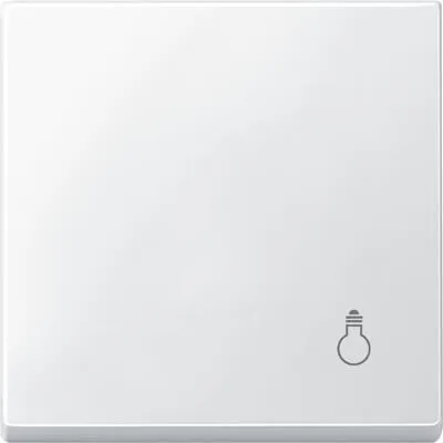 Merten MEG3302-0419 Wippe mit Kennzeichnung Licht, System M, Polarweiß matt