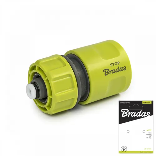 Bradas von Bradas