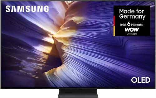 Samsung GQ65S93FAE 163 cm (65