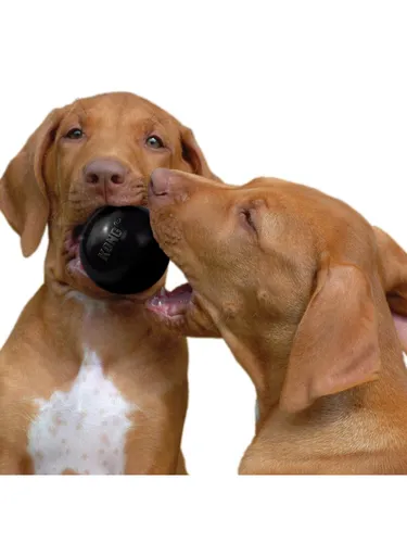 KONG Dog Toy Extreme Ball Medium/Large 7.5cm von Kong