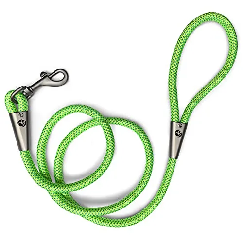 Hundeleine/Führ-Leine Premium, strapazierfähige Trainings-Leine mit Hand-Schlaufe 1,50 Meter (Hellgrün-Türkis)
