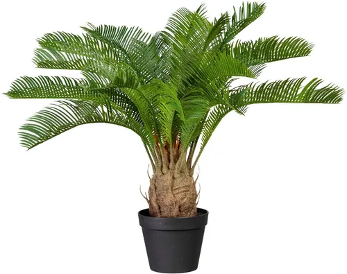 Creativ green Kunstpalme Cycaspalme 60 cm - Kunstpalme in grün mit grauem Zementübertopf, ideal für eine tropische Atmosphäre in Ihrem Zuhause, Höhe: 60 cm.