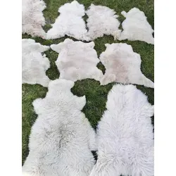 Leder & Vinyl Braun von Provellus