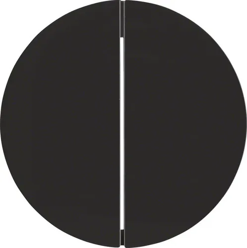 Berker Wippe sw/gl 16232045 Taster Schalter Abdeckungen Abdeckung Wippe