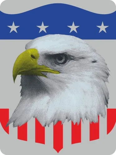 Hermann Schütz Aufkleber US-Flagge/Adler Holografie 150x110mm Aufkleber