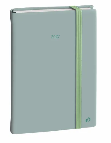 DAILY 21 COLOR ML Pastel grün El 2027