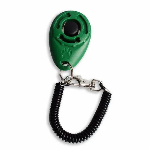 Klicker Training Hund Katze - Klickertraining für Hunde und Katzen