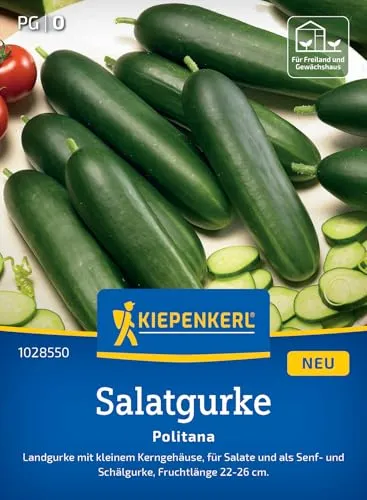 Salatgurke Politana