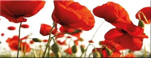 Poster & Bildende Kunst Rot von Artissimo