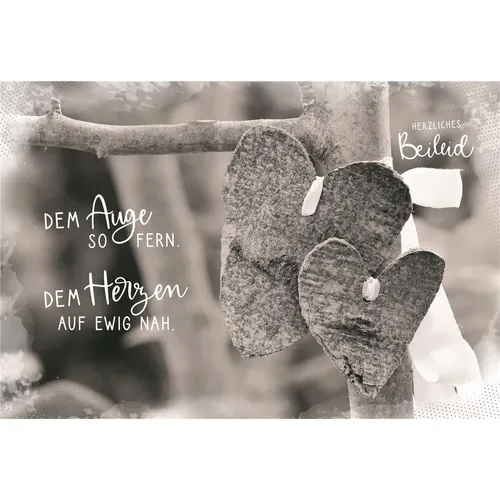 Trauer – Beileid – Kondolenz - Trauerkarte im Format 11,5 x 17 cm mit Umschlag -