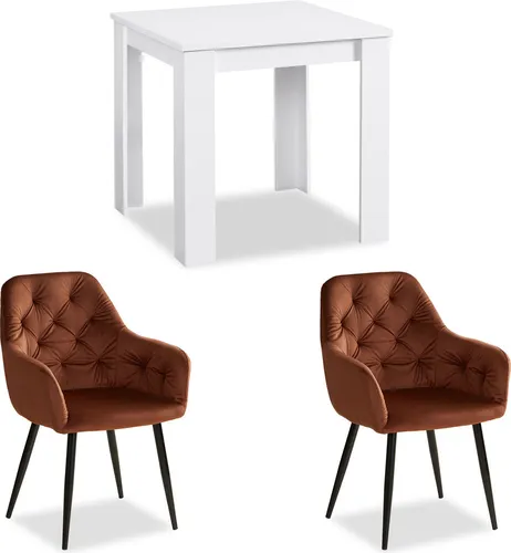 Homestyle4u 2375 Essgruppe mit 2 Stühlen