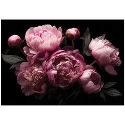 Wallarena Fototapete Pfingstrosen Rosa, 300x210 cm in pink von Wallarena