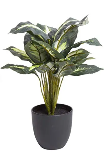 Flora-Seta GmbH Kunstpflanze (Alocasia, Dieffenbachia, Calathea) Höhe 40-50 cm im schwarzen Kunststofftopf (Dieffenbachia)